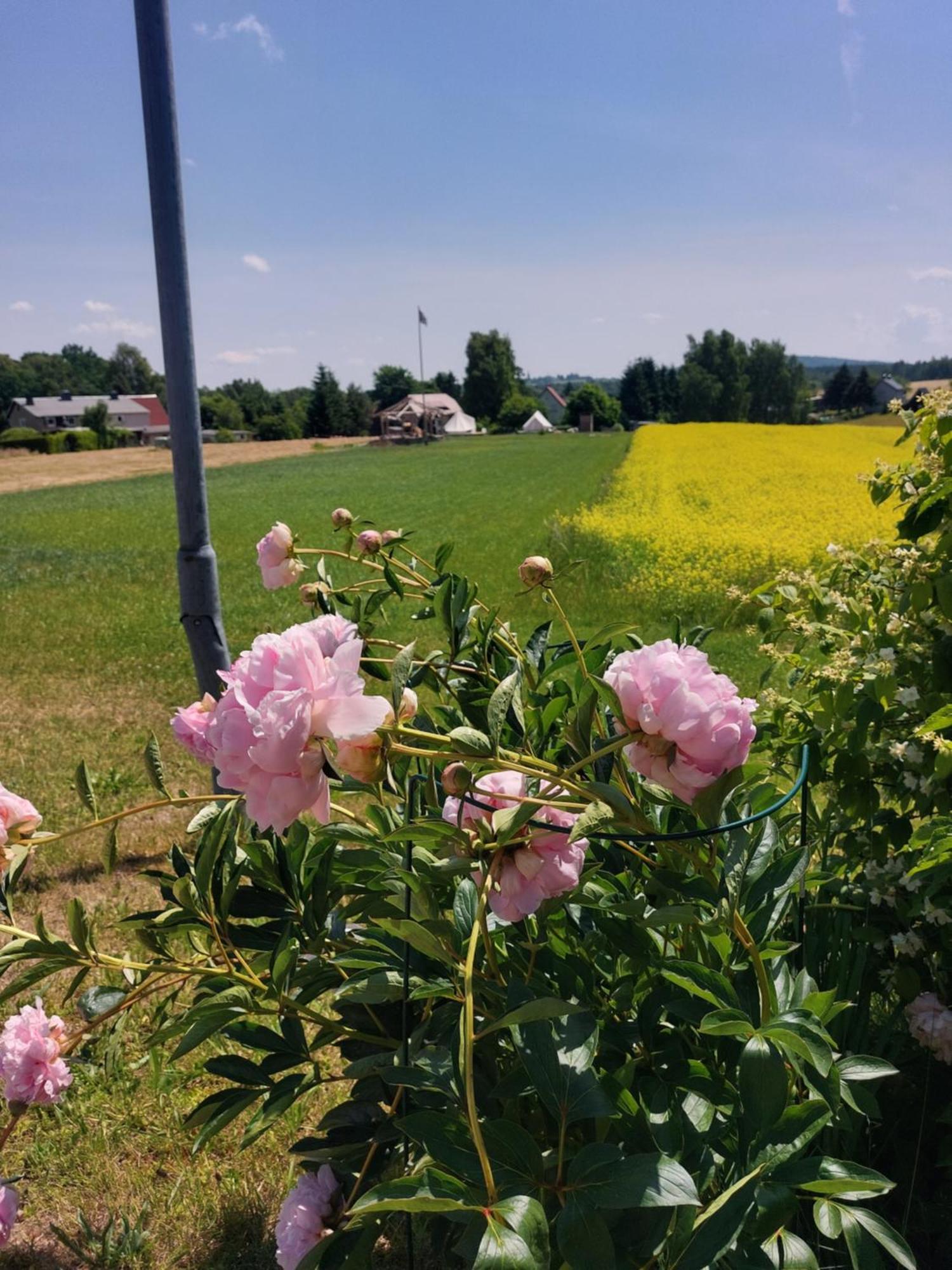 Autark-camp Gleis A. Campsite *